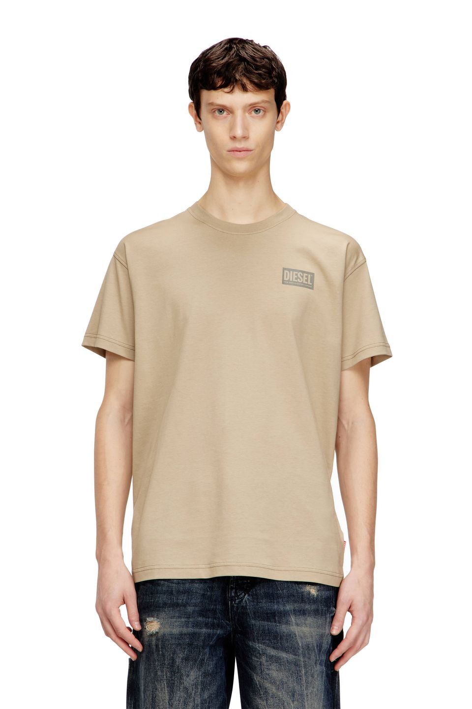 Camiseta Diesel T-Norm V13